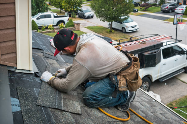 Professional Gutter Repair And Installation technician working in Long Creek, IL